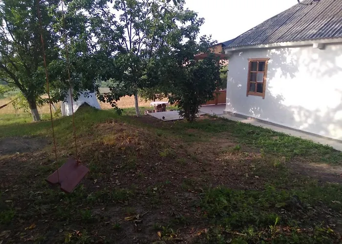 Соколине Гніздо